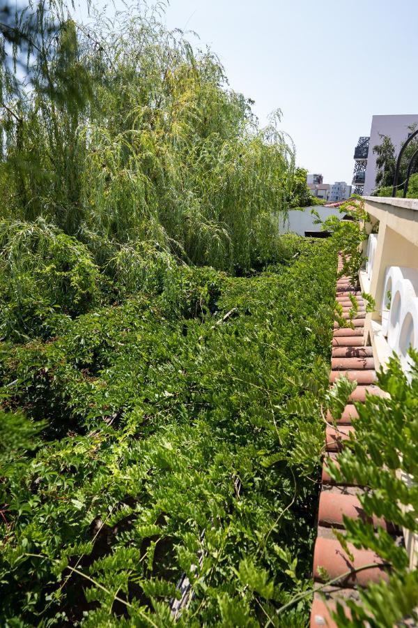 Villa Pontica Năvodari Εξωτερικό φωτογραφία