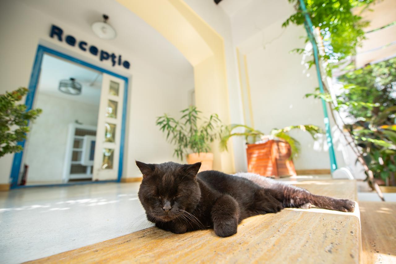 Villa Pontica Năvodari Εξωτερικό φωτογραφία